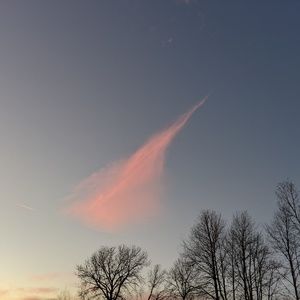 Meet your Posher, Kenneth